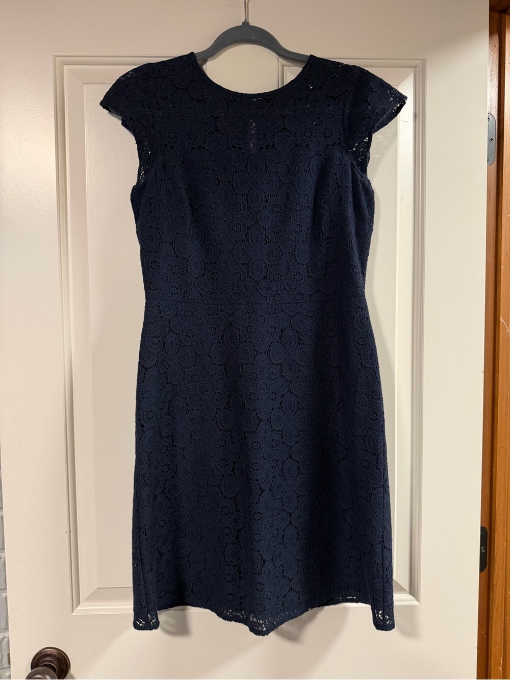 Ann Taylor Factory Navy Cap Sleeve Lace Dress